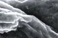 Plants can be turned into energy-containing devices
