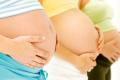 Freeze the eggs before puberty to treat cancer