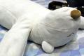 Robots treat snoring