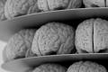 Find the algorithm to simulate the human brain, but no machine can operate