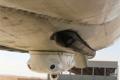 Missile shield in aircraft belly