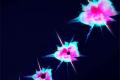 New self-healing resin based on blood clotting mechanism
