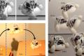 American 3D robot design know how to transform and jump high