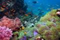 Marine environmental simulation equipment