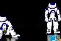 French robot attracts visitors at World Expo
