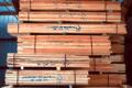 Technology turns bad wood into good wood