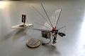 The world's smallest camera mounted aircraft