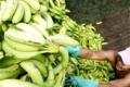 The 16-year-old turned the banana peel into plastic