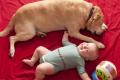 Smart clothes know why babies cry