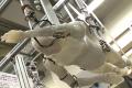 Build a robot that can swim frogs