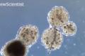 Tiny visions made from 3D printing technology