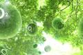 Develop simple, cheap materials for 'artificial photosynthesis'