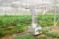 Robot spraying for plants