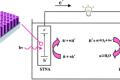Fuel cells purify water and generate electricity
