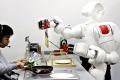 The talking cat and the robot serve breakfast