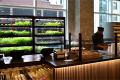 Farmshelf - A solution to grow vegetables right in your kitchen
