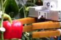 Fruit harvesting robot
