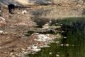 Battery manufacturing works with animal dung