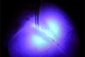 New ultra-small LEDs can inject into the brain