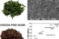 Self-destructable wood from rice hulls