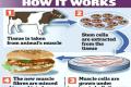 Produce meat without slaughtering cattle