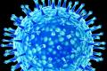 Published the first study material on the new influenza virus