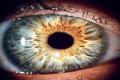 The iris scanning technology can distinguish between the eyes of the living and the dead
