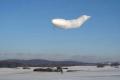 Tadpole flying vehicle