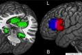 US scientists find out how to read human thoughts
