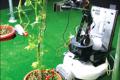 Gardening robot