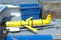 Robot protect sturgeon