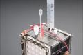 Bacterial batteries charge themselves - plentiful hydrogen supplies