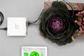 Gardening with cloud computing