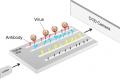 Mobile devices can detect viruses in minutes
