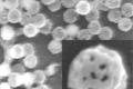 Nano material and rose petals