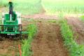 This small robot will revolutionize agriculture