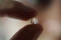 Lens turns 'cricket' into a microscope