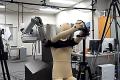 Robots help you get dressed
