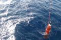 Robot can move by sea temperature