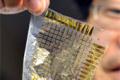 Japan has successfully developed a viral sensor