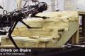 MIT's 'blind robot' can run, climb stairs proficiently