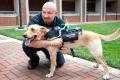 Technology will soon be available to help people talk to puppies