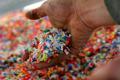 NEC manufactures bioplastics from cashew nut shell