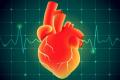 Successfully developed the phone unlocking method ... with the heart