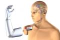 Robot arm for people with paralysis