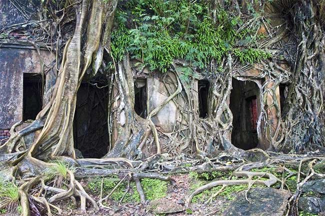 Picture 2 of 10 abandoned buildings are naturally 'occupied'