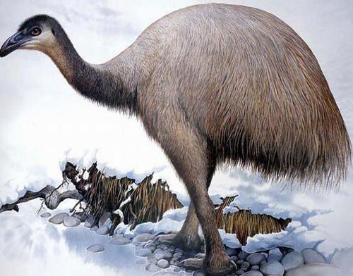 Picture 8 of 10 ancient extinct animals hope to revive