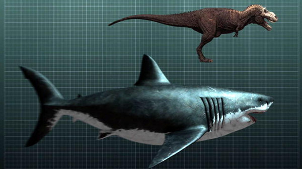 Picture 1 of 10 animals make humans extinct if revived