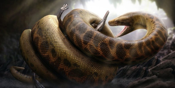 Picture 3 of 10 animals make humans extinct if revived