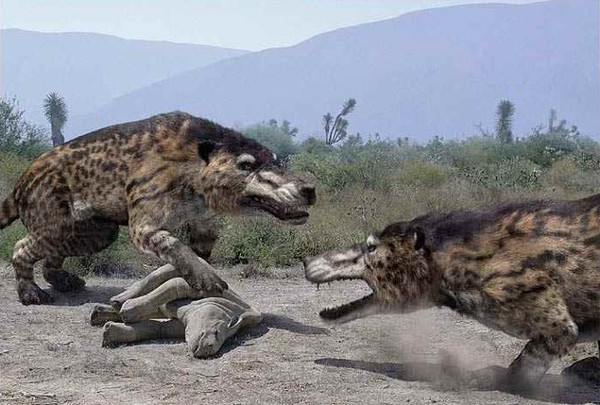 Picture 8 of 10 animals make humans extinct if revived